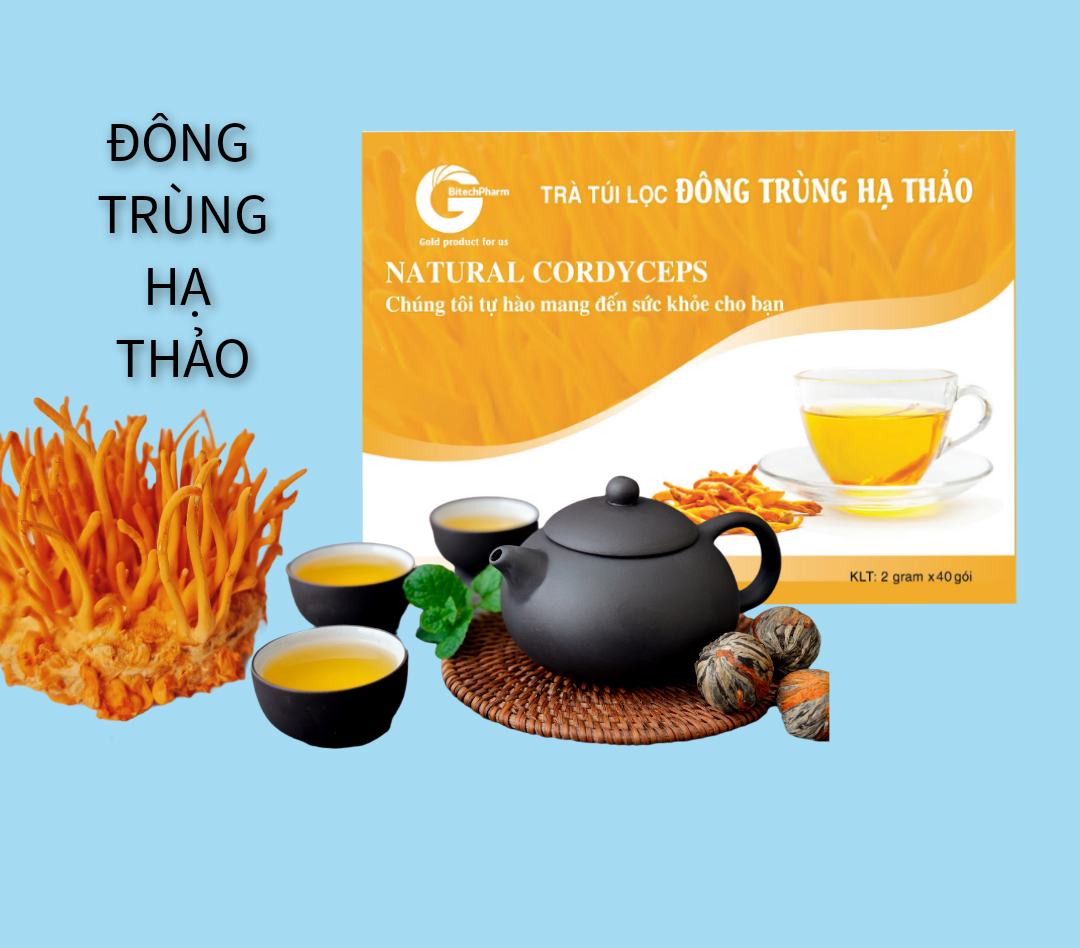 Trà túi lọc Đông trùng hạ thảo Nature Cordyceps BitechPharm hộp 40 túi * 2g