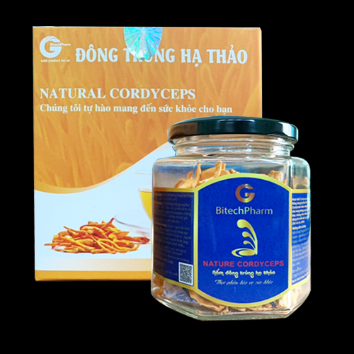 Đông trùng hạ thảo khô lọ BitechPharm 5g